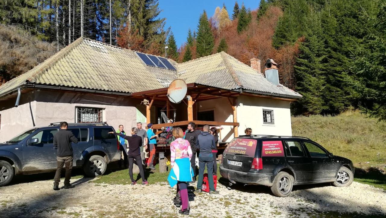 Cabana Pietricica Dimbovicioara Exterior photo