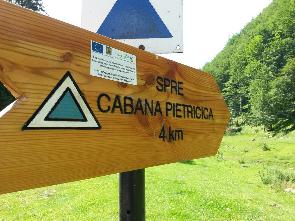 Cabana Pietricica Dimbovicioara Exterior photo