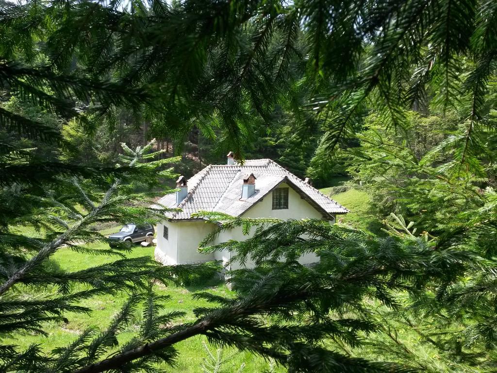 Cabana Pietricica Dimbovicioara Exterior photo