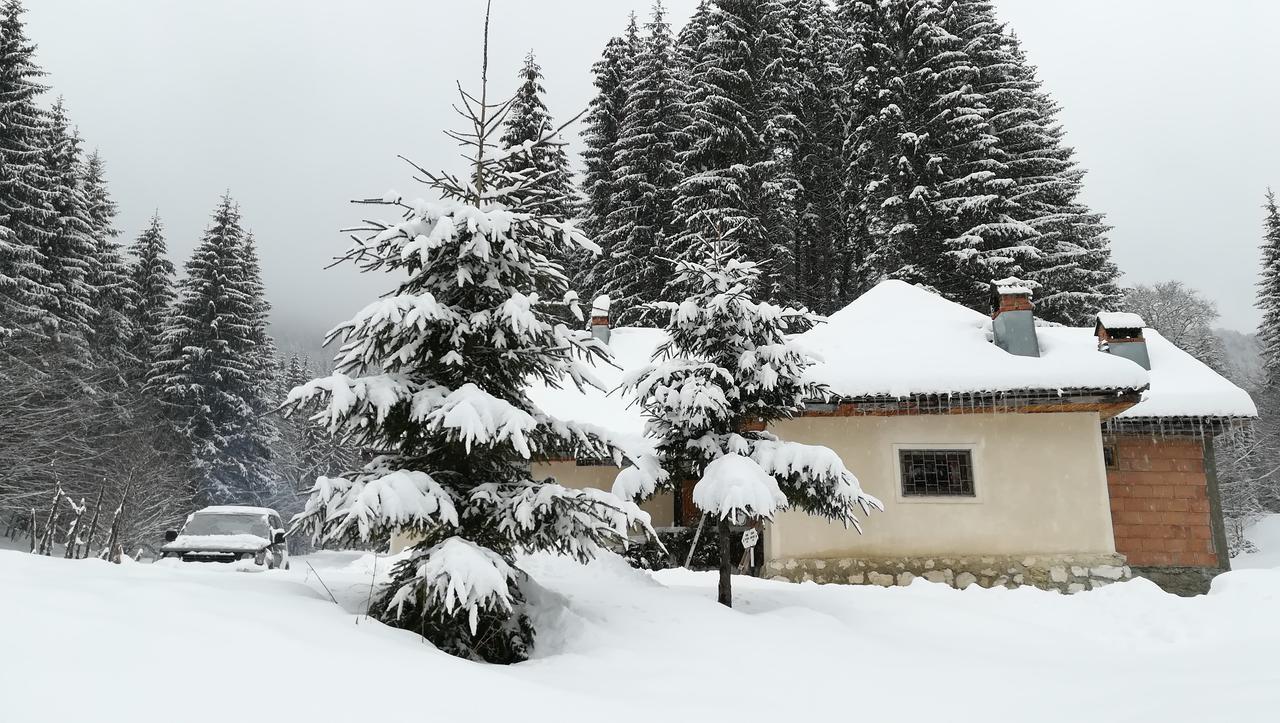 Cabana Pietricica Dimbovicioara Exterior photo