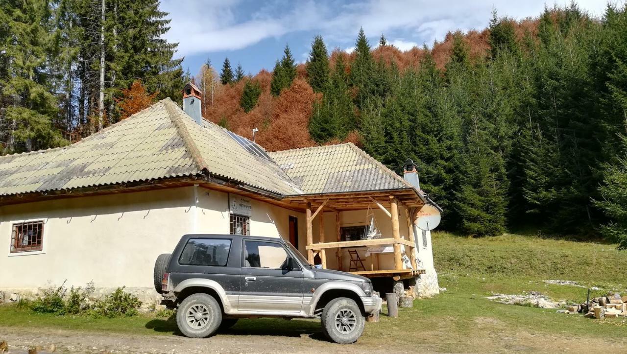 Cabana Pietricica Dimbovicioara Exterior photo